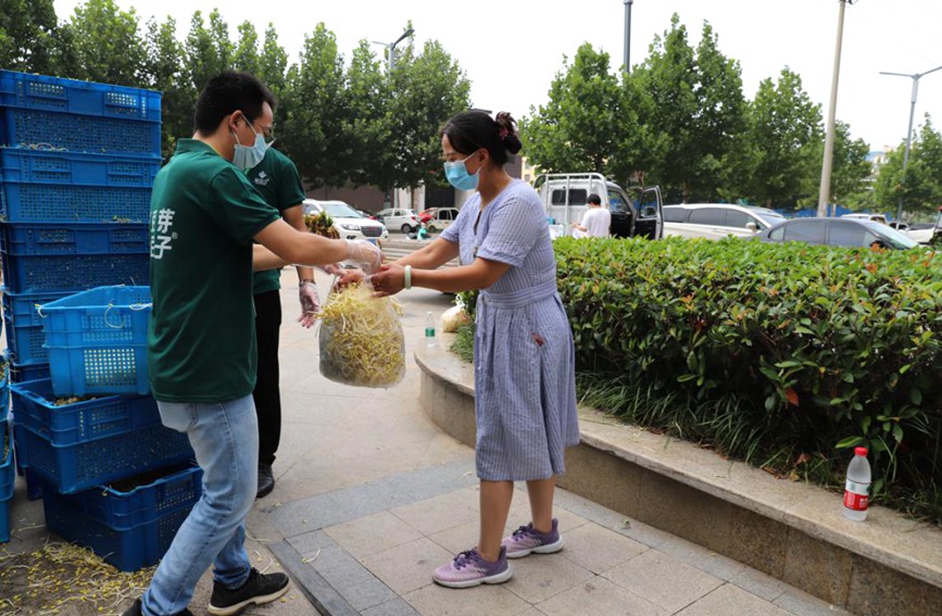 河南虞城：企业向群众免费提供50万斤新鲜芽苗菜