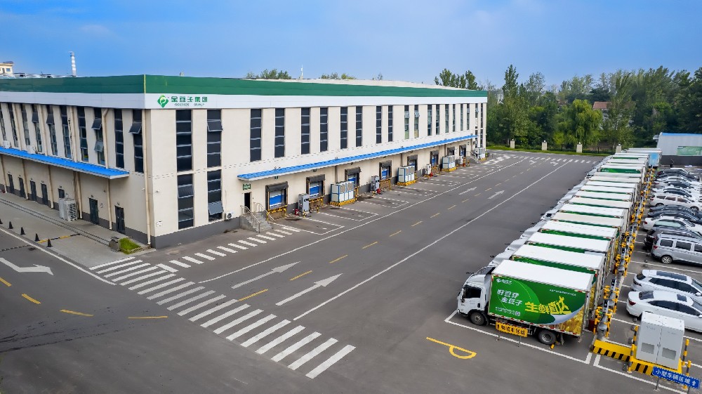 国庆献礼|金豆子用智慧筑牢农业民生根基