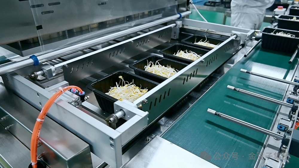 再攀新高！金豆子嘉兴公司喜获有机产品认证与中国良好农业规范认证